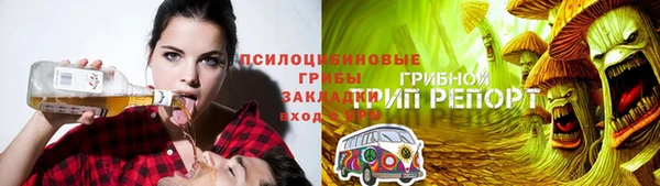 дурь Аркадак