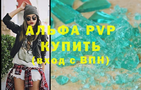 гашик Арсеньев