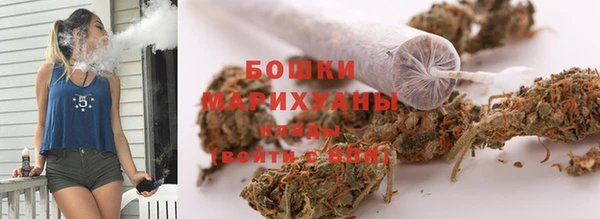 гашик Арсеньев