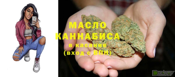 гашик Арсеньев