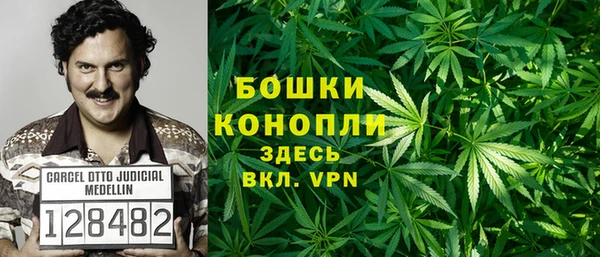 гашик Арсеньев