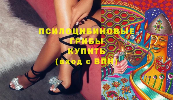 бошки Армянск