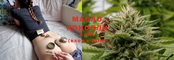 гашик Арсеньев
