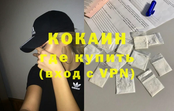 гашик Арсеньев