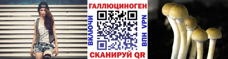 Галлюциногенные грибы Cubensis Ленск